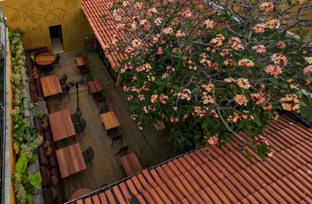 pisco floripa2 1